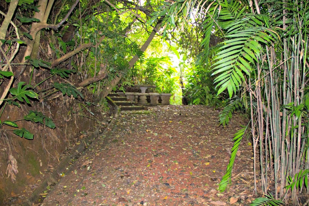 Finca Vibran Bed and Breakfast