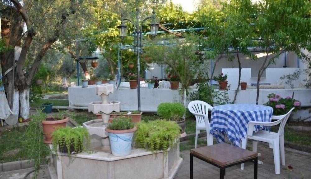 Photo 7