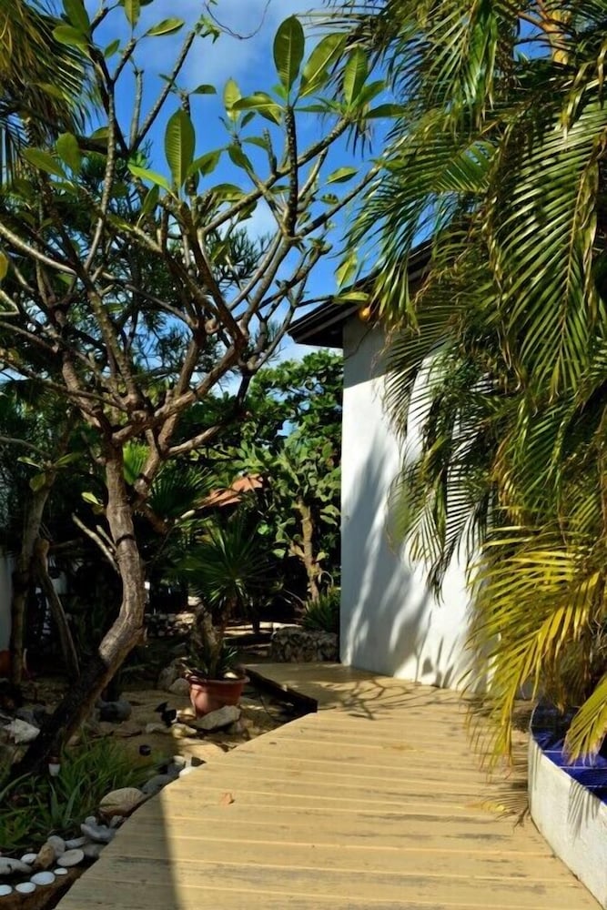 Parrot Villa