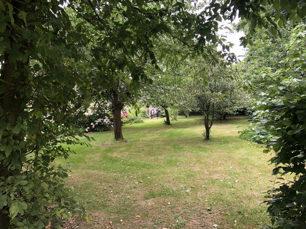 Photo 38