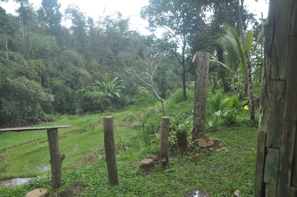 Tepi Sawah Lodge