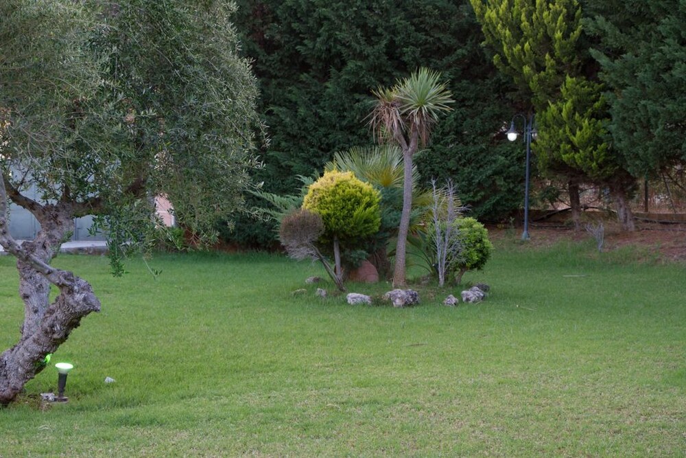 Photo 38