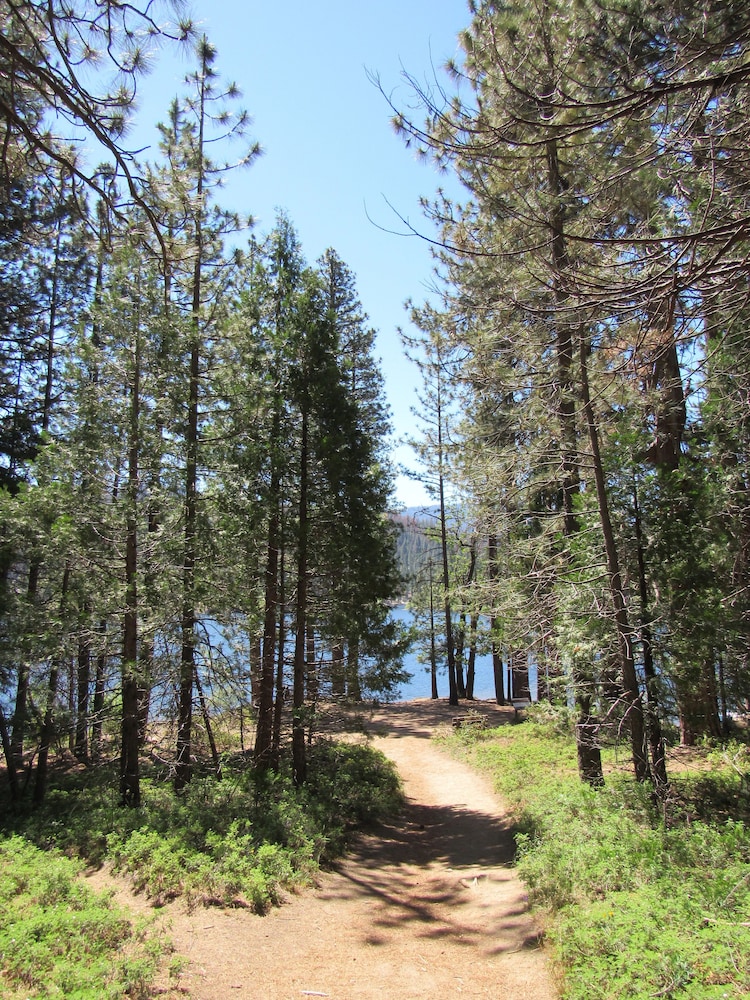 John Muir Lodge - Property Image 3