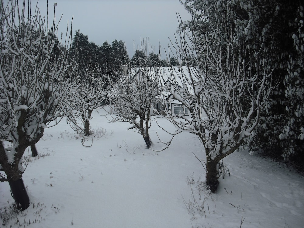Photo 49