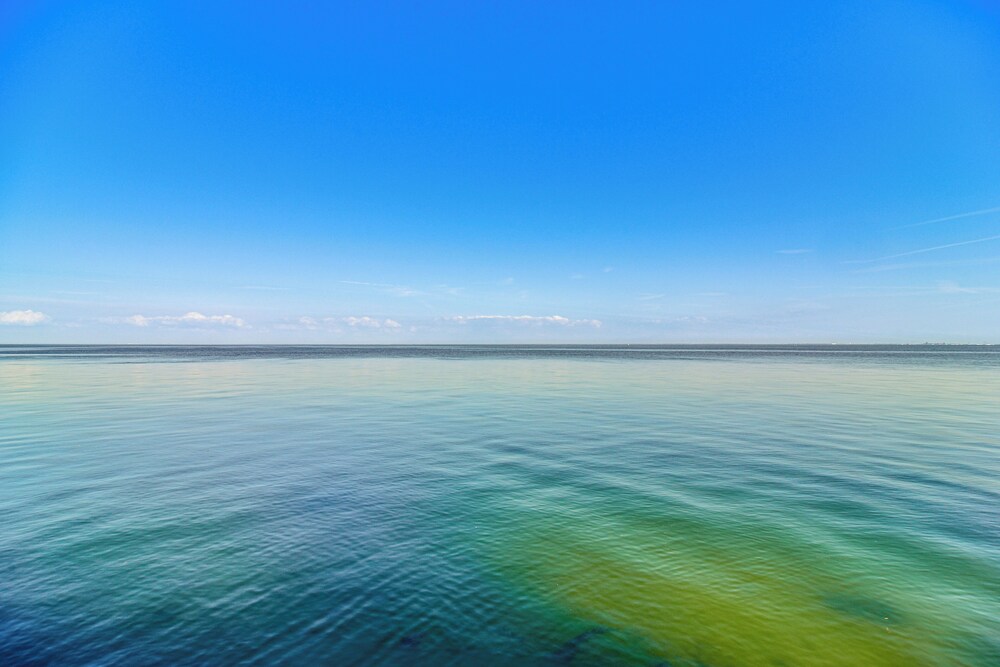 Bayfront St Petersburg Retreat 4 Mi to Downtown!