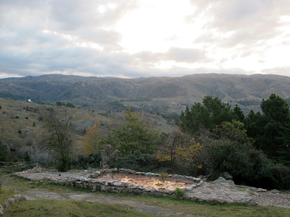 La Domanda
