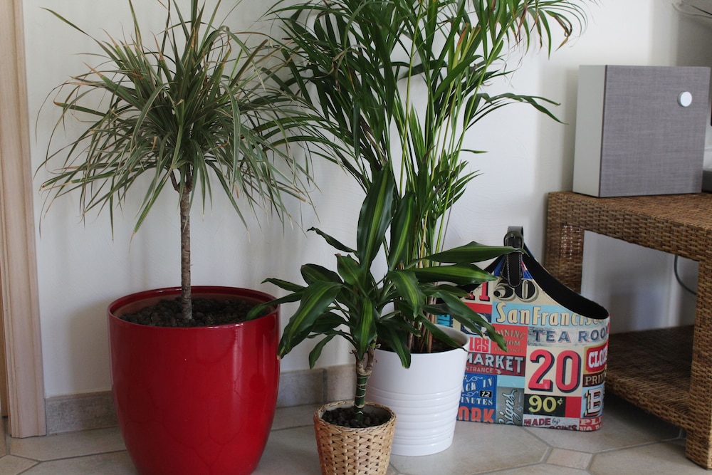 B Guesthouse