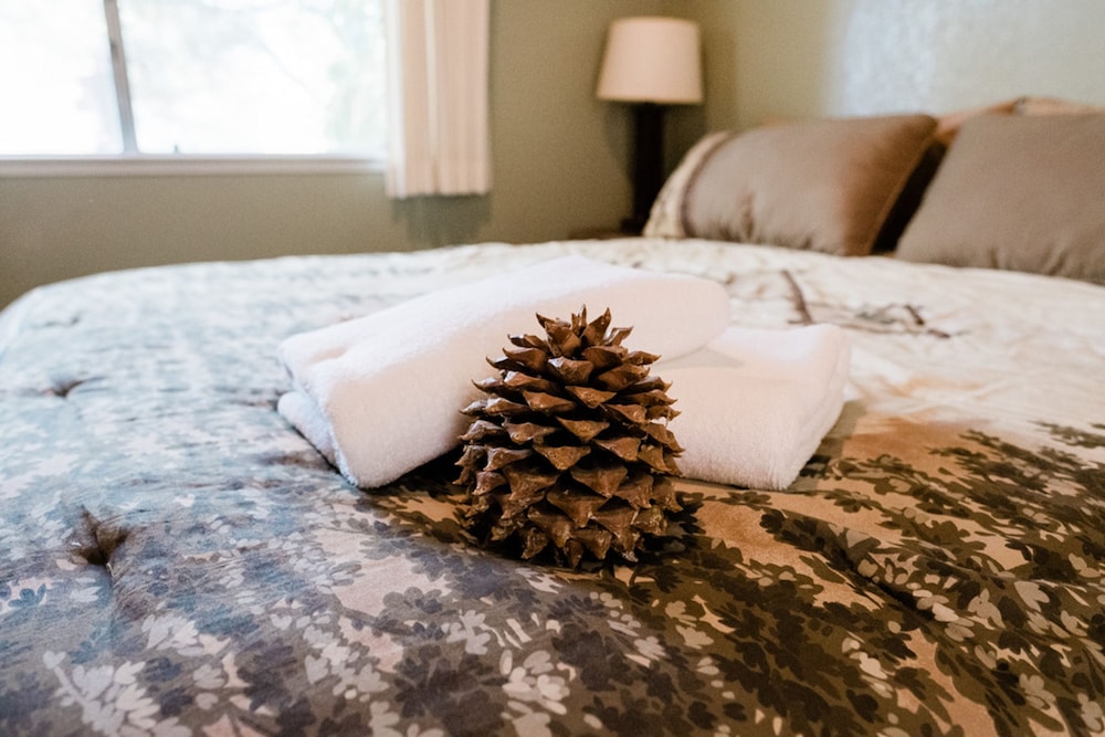 Pinecone Getaway view 3