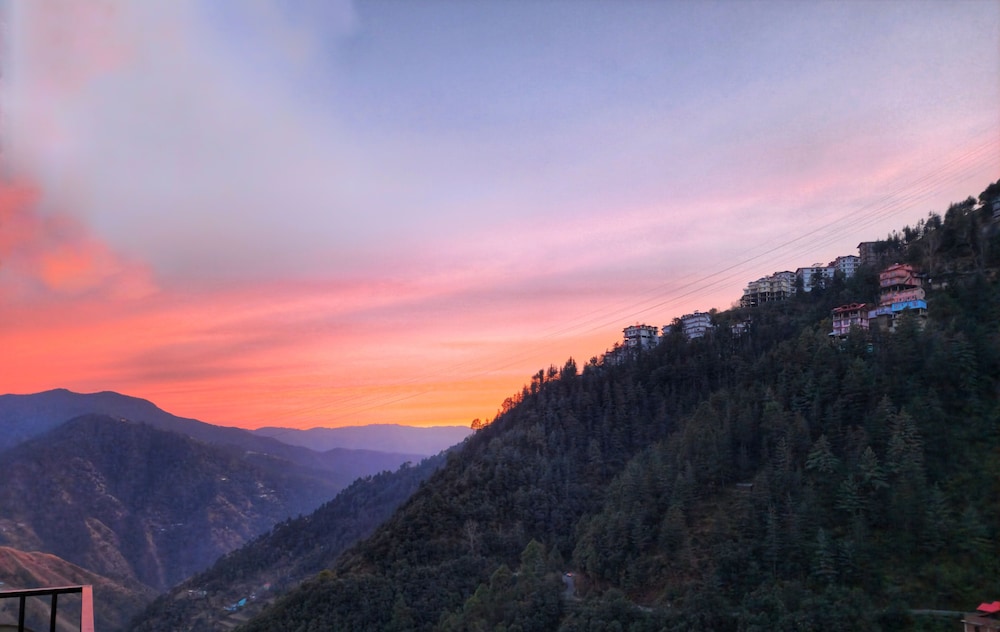 Royal Cedar Shimla view 5