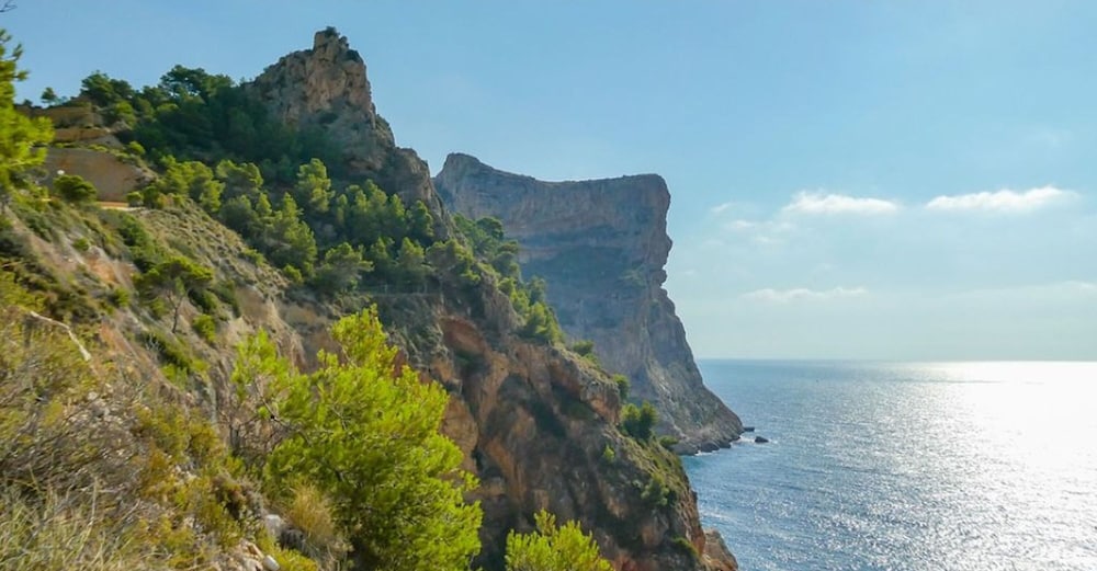Delfines del Puerto in Javea