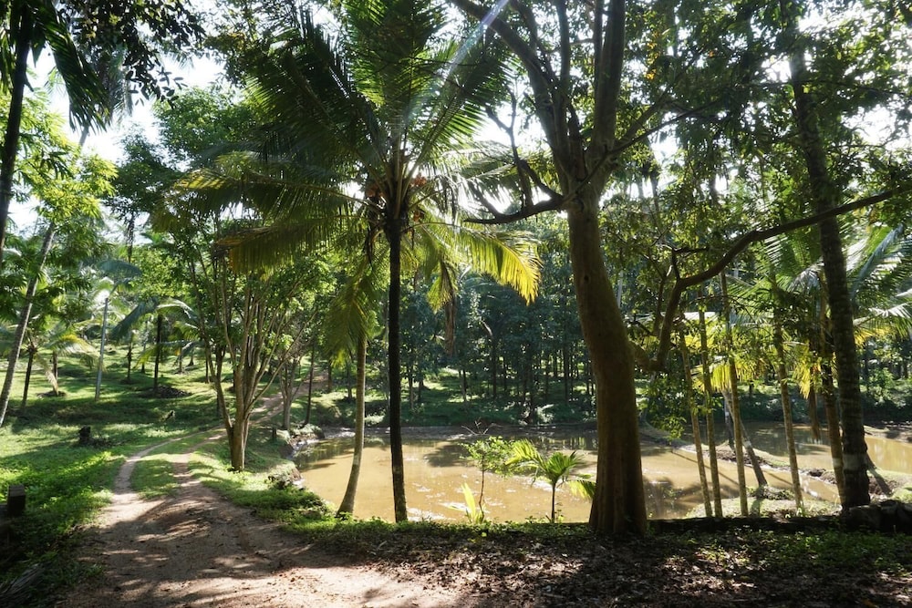 Photo 45