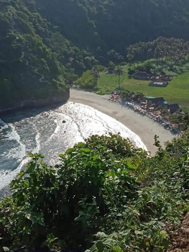 Miasa Homestay view 5