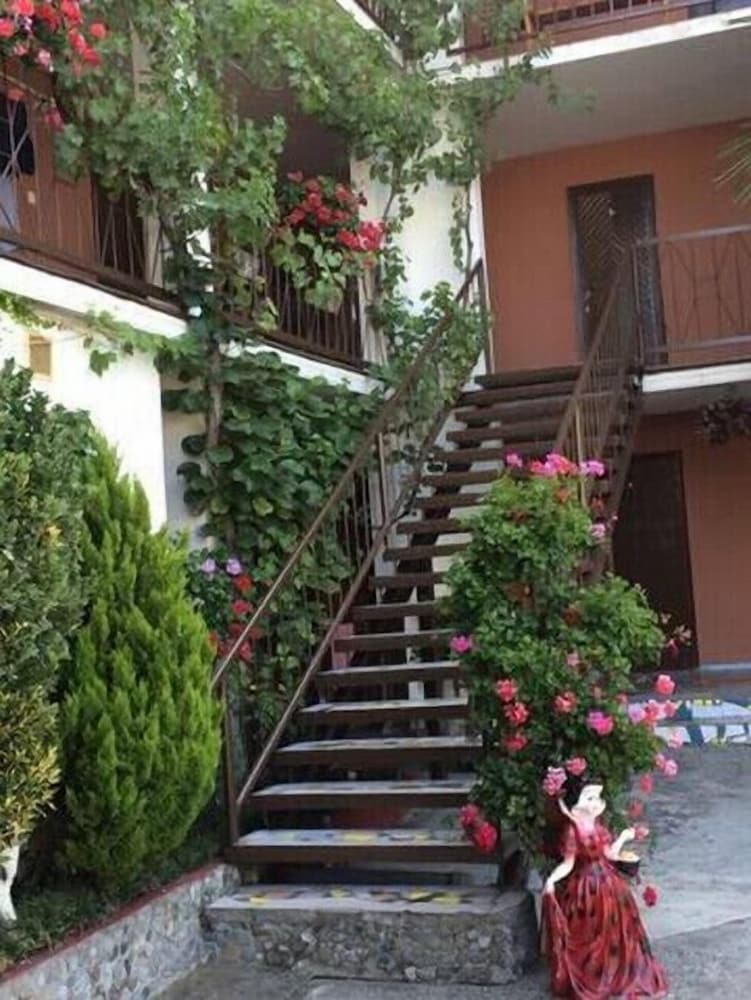 Photo 40