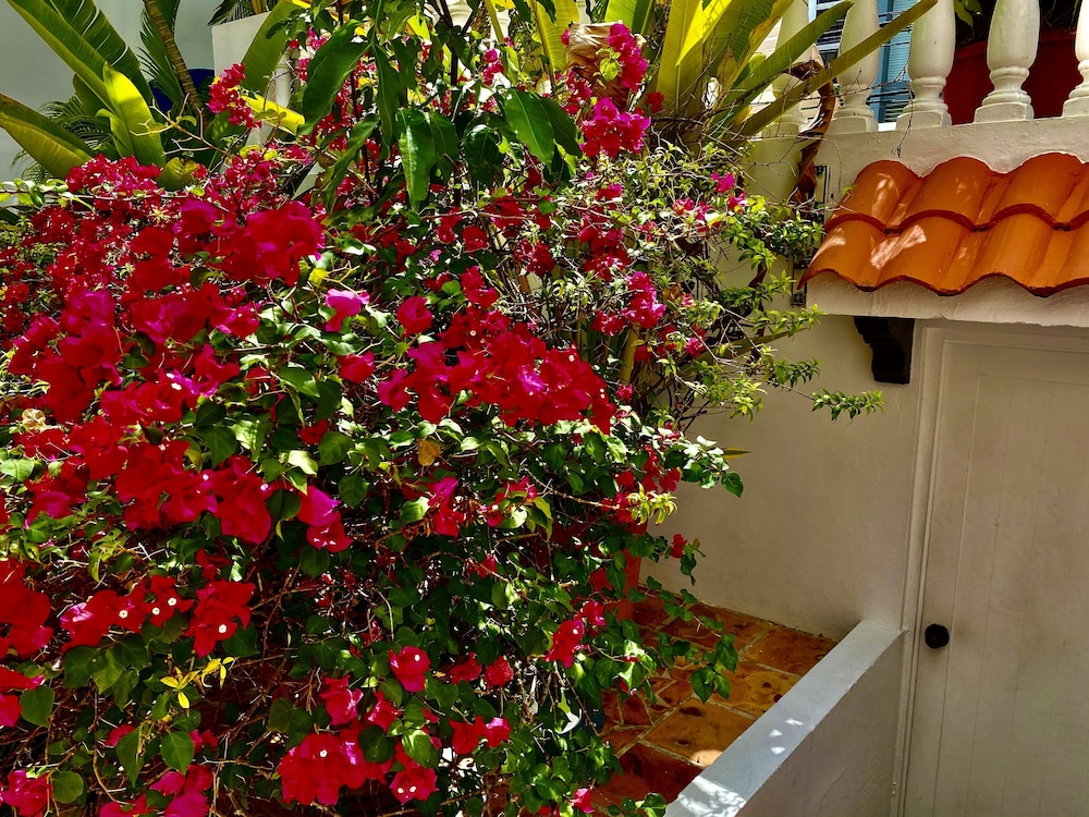At Wind Chimes Boutique Hotel - Property Image 156