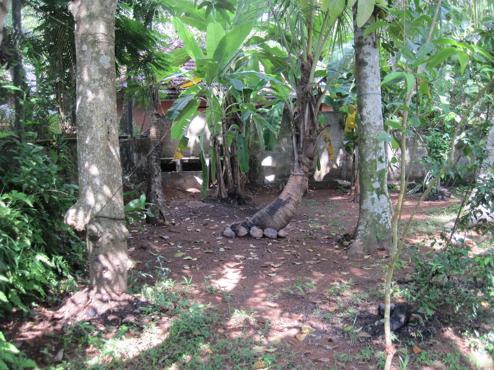 Jungleside House