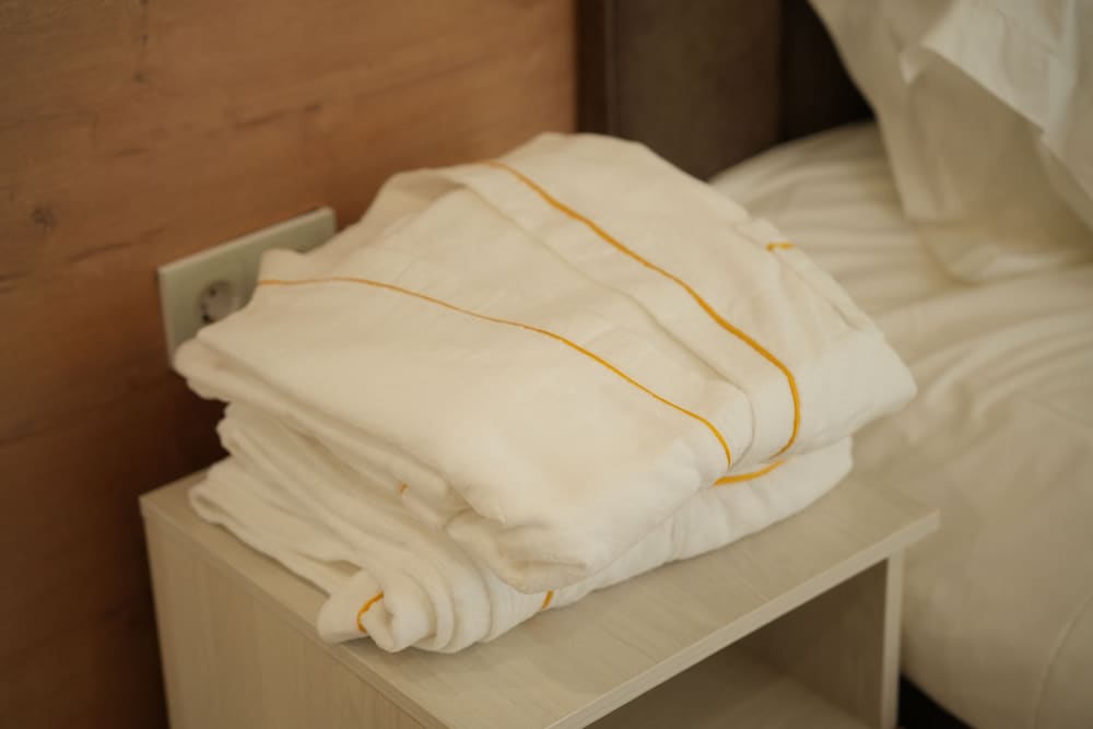 Rodnik Guest house Almaty