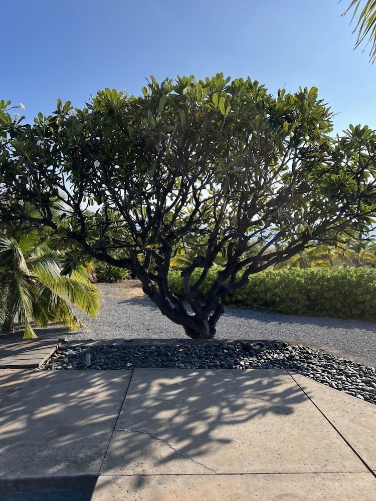 Kohala Estate Home 3 Bedroom Estate by RedAwning