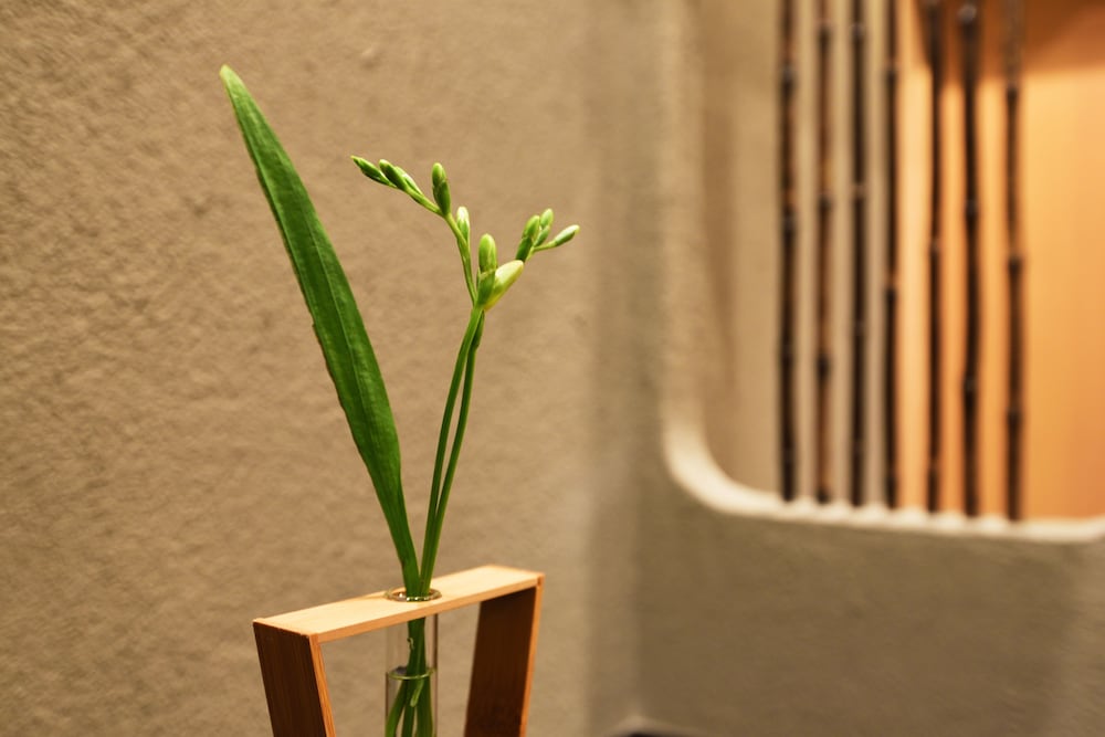 Ryokan hanare Tengachaya