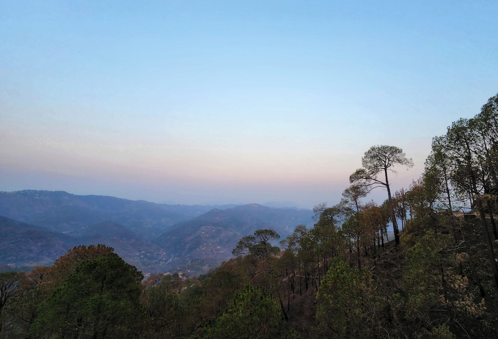 Wonder Hill Kasauli