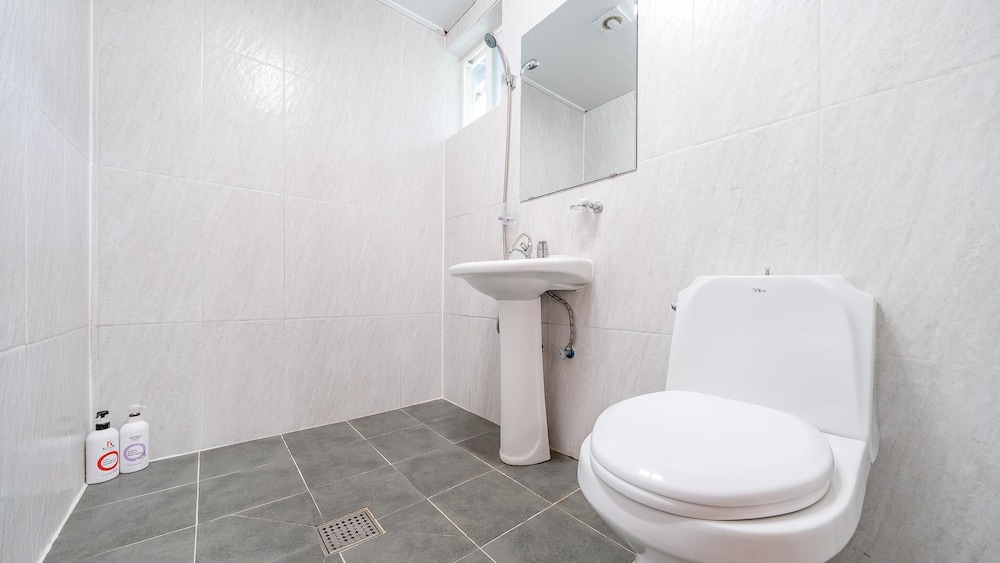 Chuncheon Namiseom pet Friendly Pension
