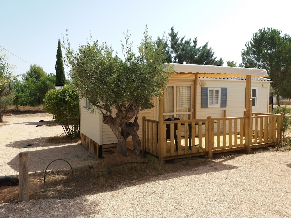 Camping Bola