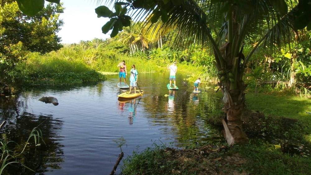 Room-method Living Tropical Edition 5002 view 5