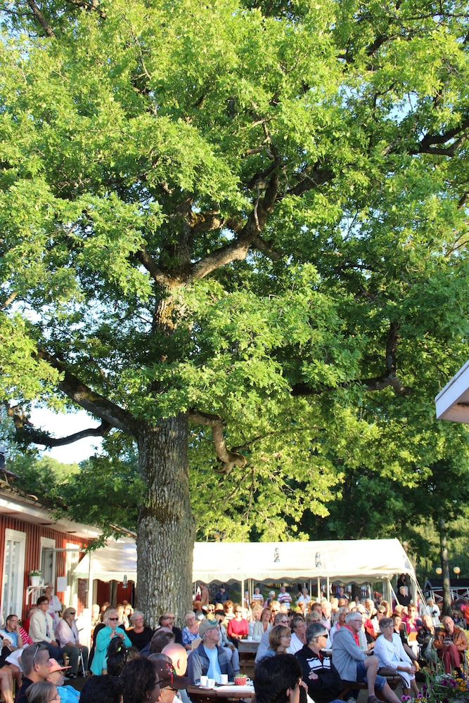 Eksjö Camping & Konferens - Hostel