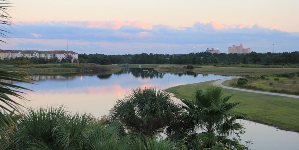 Lake View Joy
