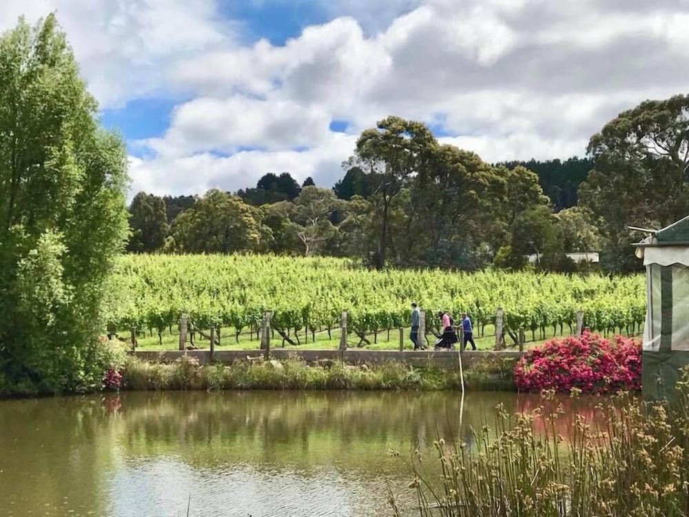 Gisborne Peak Winery Cottages