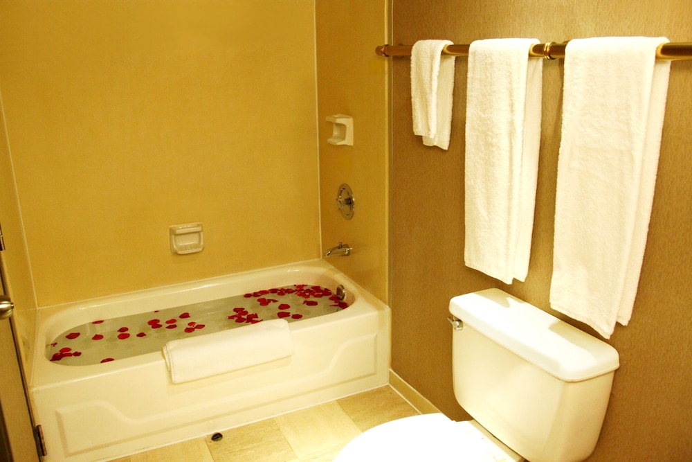 Photo 42