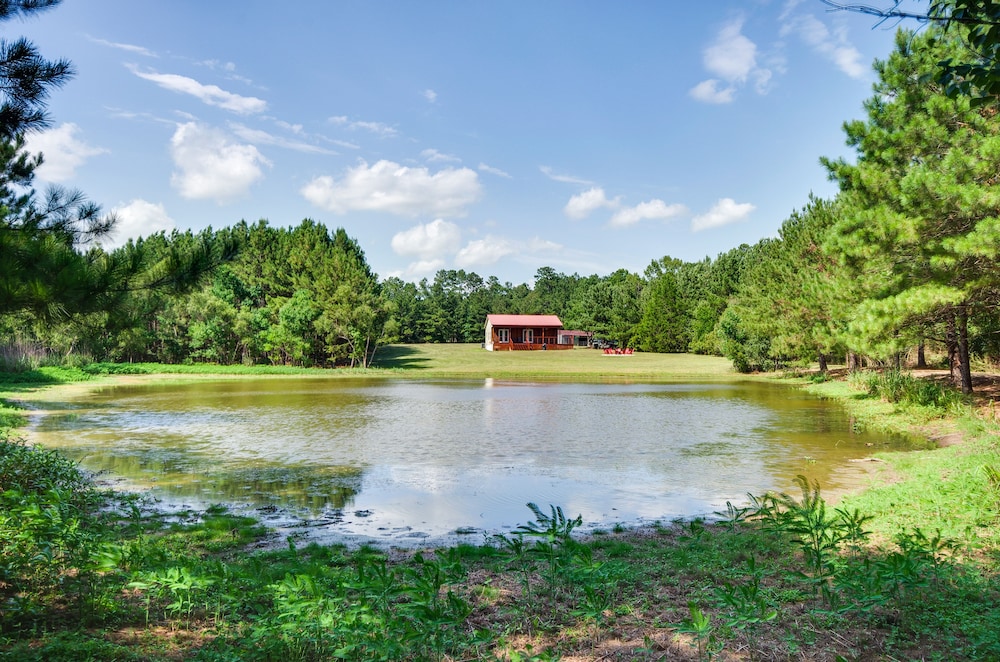 Cozy Summit Cabin w/ Hiking Trails Fishing Pond! - Property Image 13