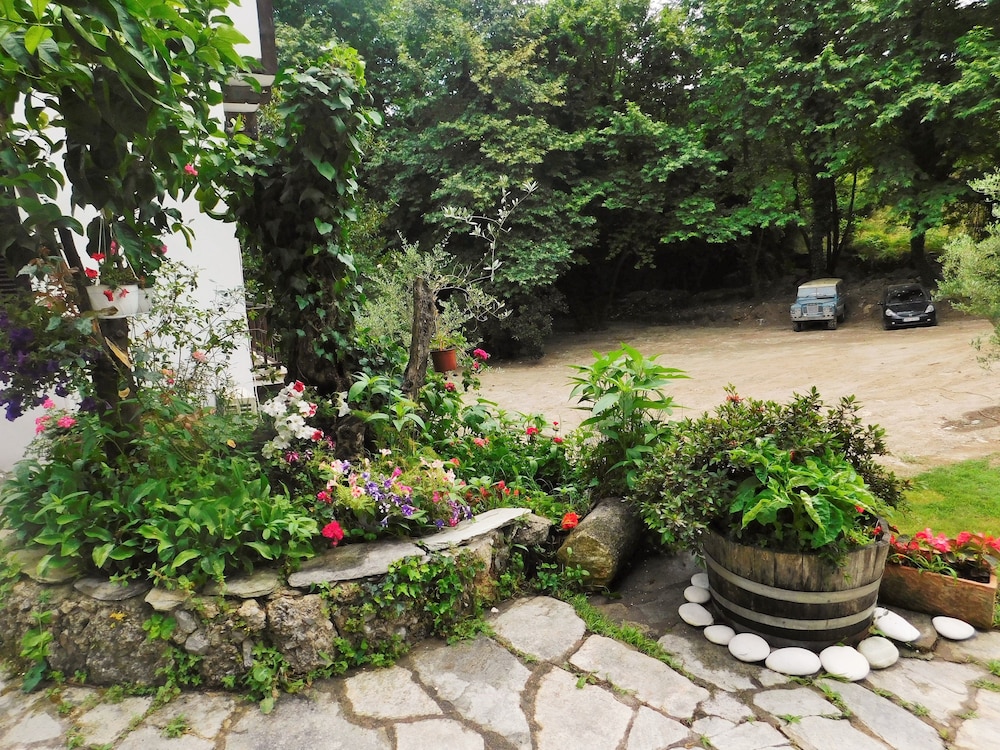 Photo 41