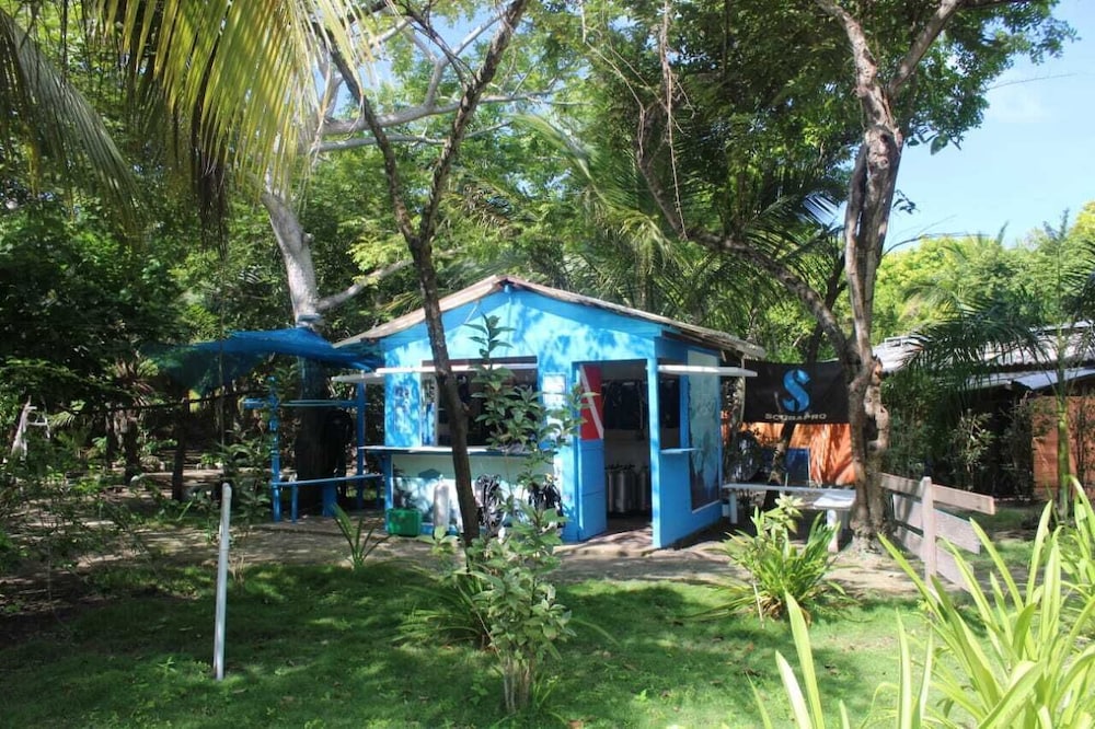 Las Palmeras view 2