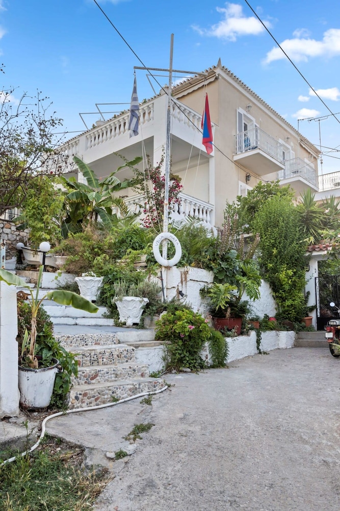 Seaview Splendor - Ostrella Summer Haven