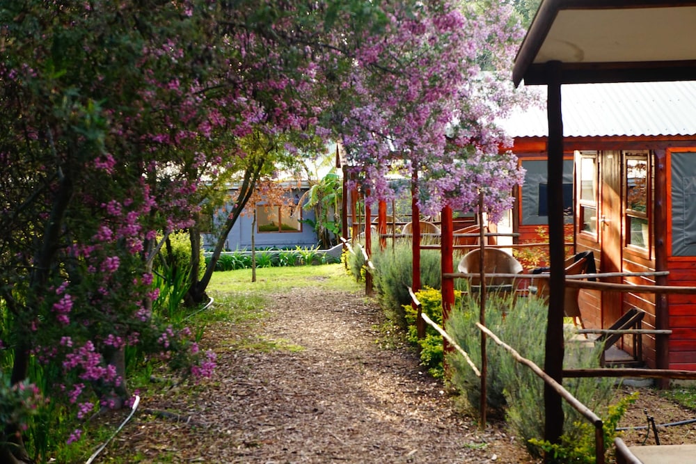 Tri Active Lodge