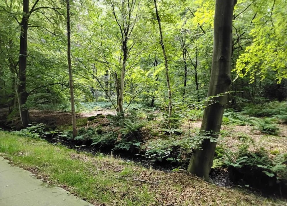 Lakeside Farm Stay, Friesland