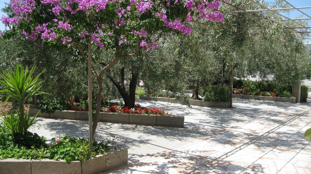 Photo 17