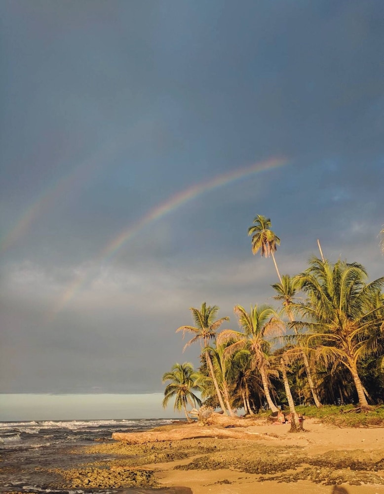 Caribbean Alchemy Cocles Beach