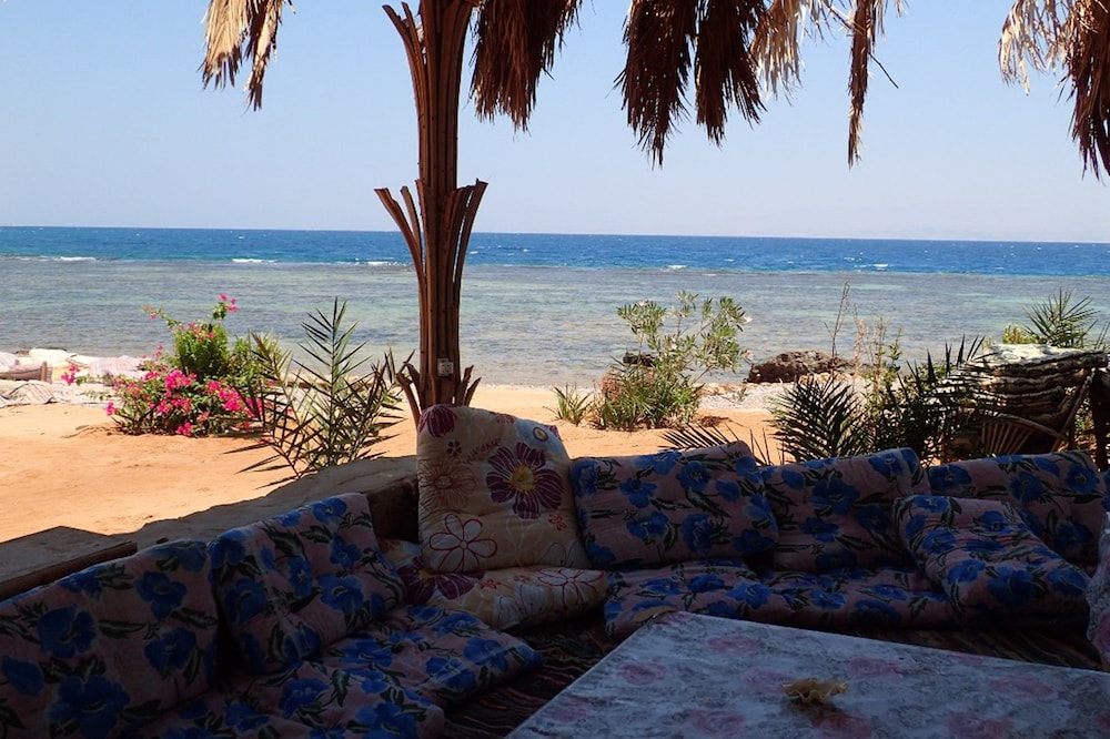 Bedouin Star