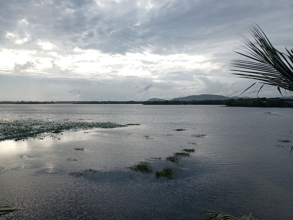 Yala Treetop Lake