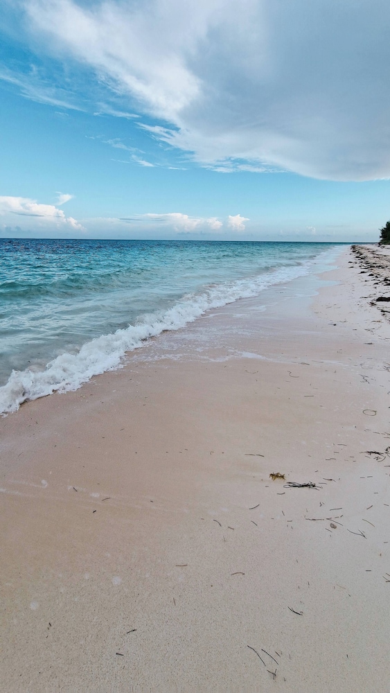 NEW Stunning Beachfront Condo at the Coral Beach