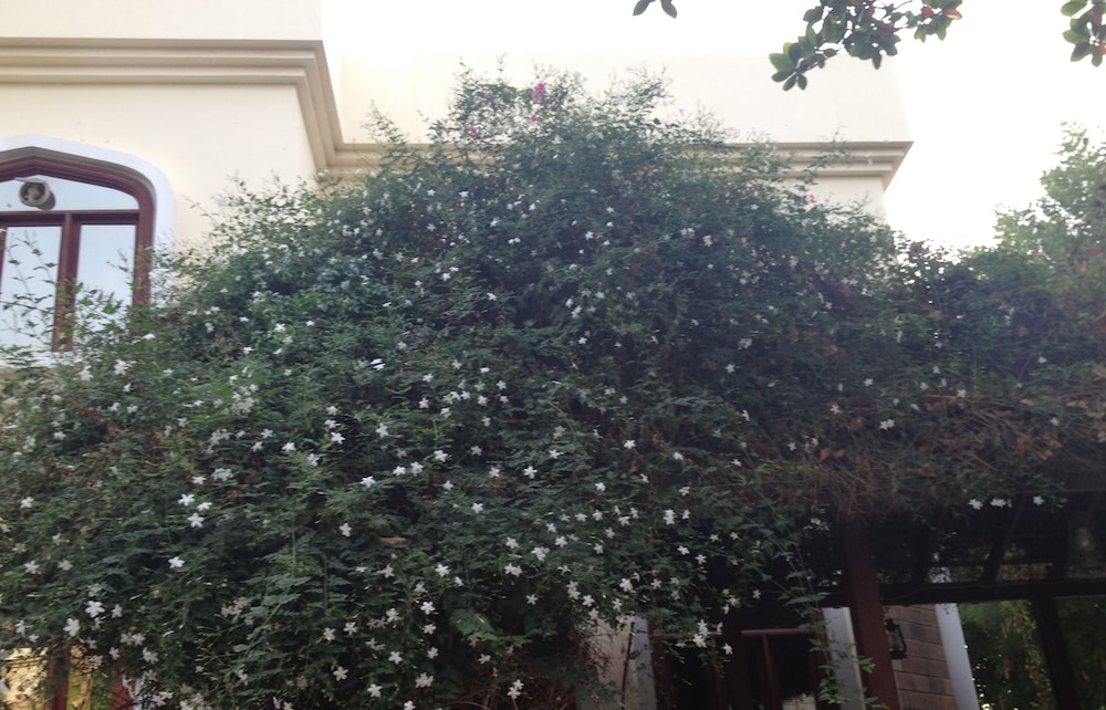 Garden Roomz Oman