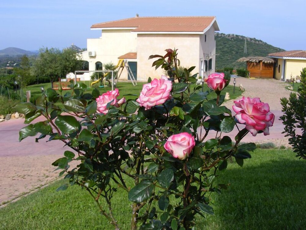 Photo 23