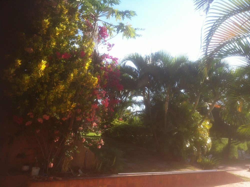Photo 24
