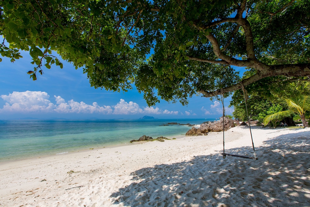 Photo 101