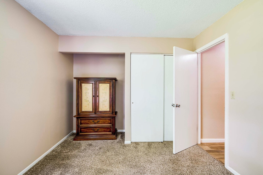 Explore Weeki Wachee Springs: Pet-friendly Home