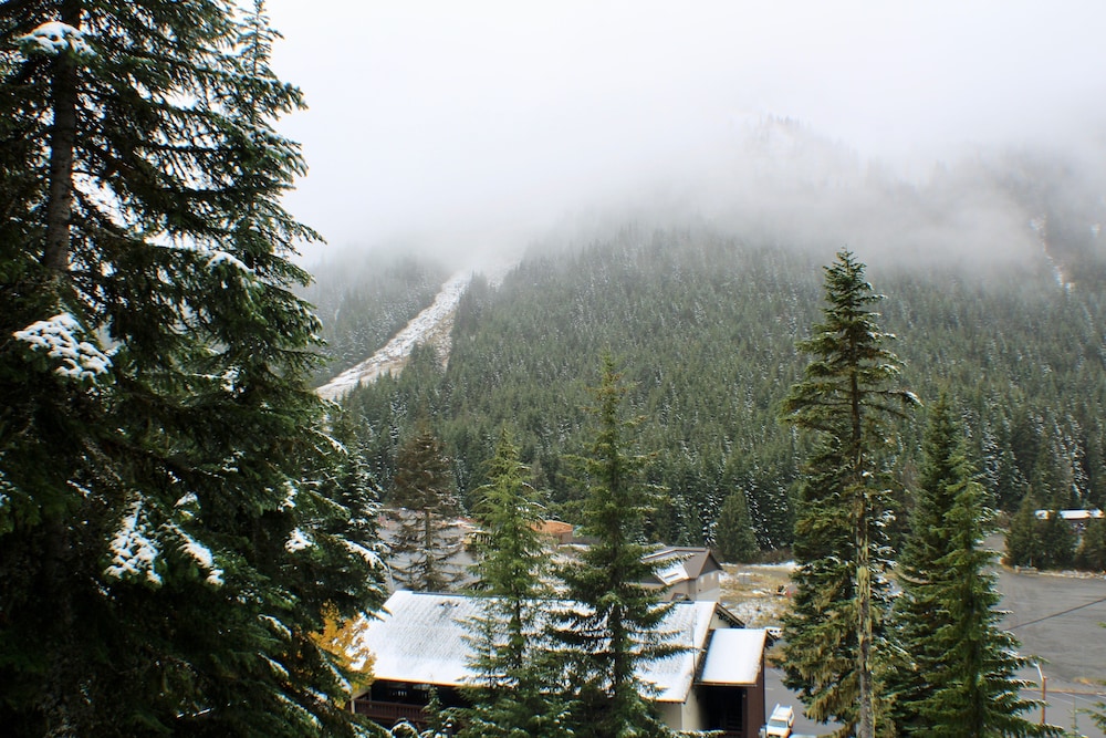Crystal Chalets Condominiums at Crystal Mountain Ski Resort