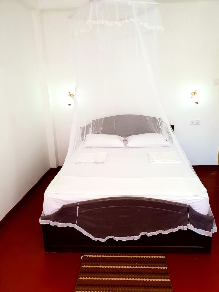 Adannz view