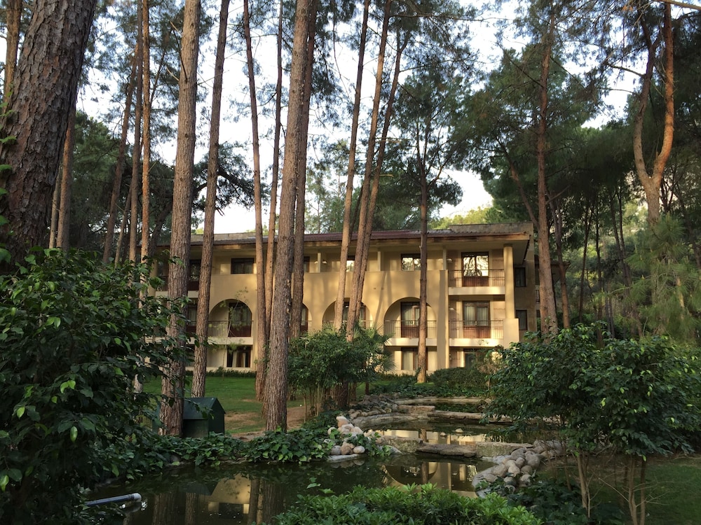 Champion Holiday Village - All Inclusive