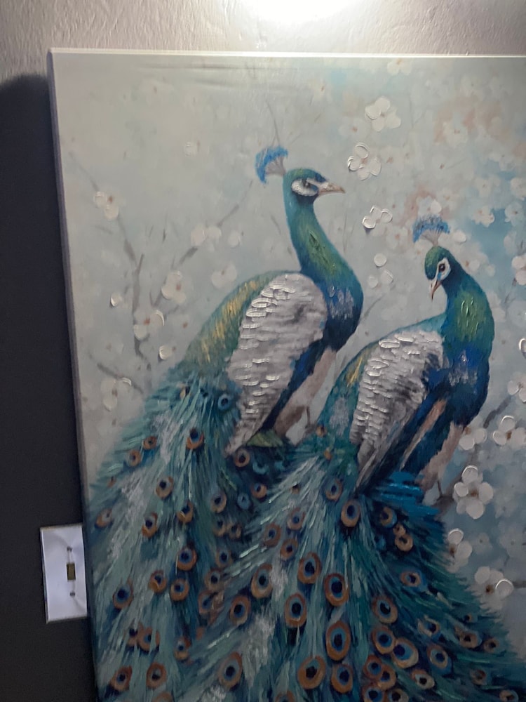 Montego Bay Ironshore  Luxury Studios